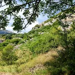 Di Montagna