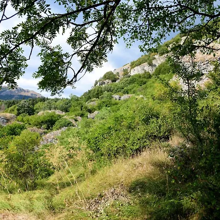 Di Montagna