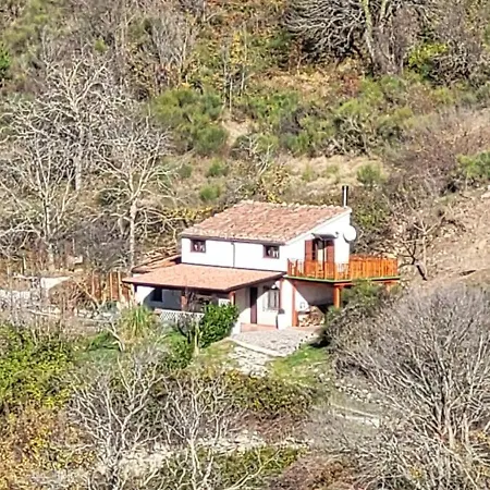 Di Montagna * Marsicovetere